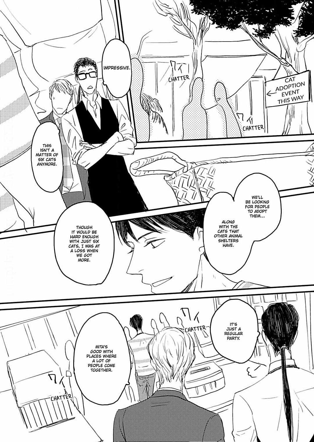Collaring A Stray Cat - chapter 6 - #5