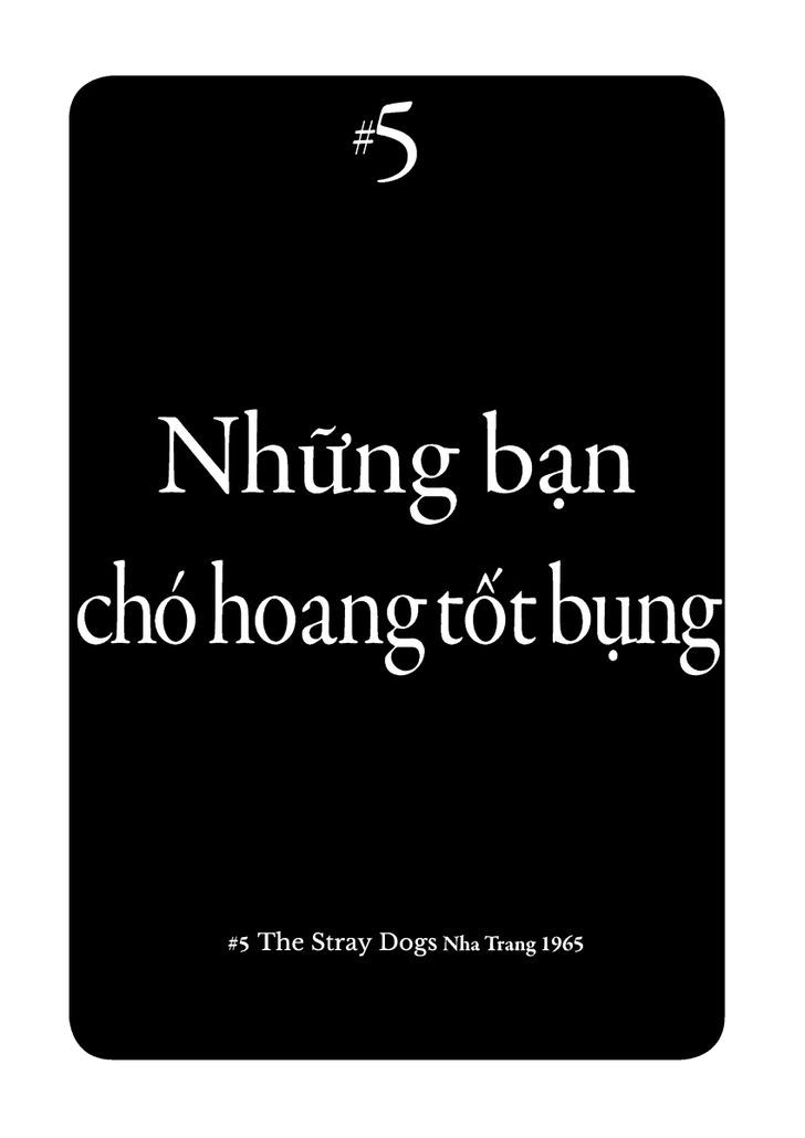 Dien Bien Phu - chapter 5 - #2