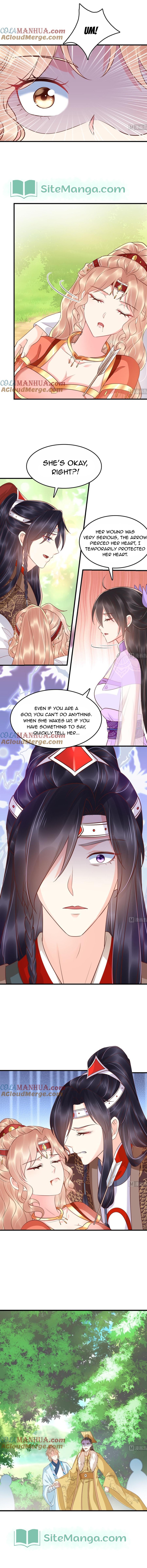Do Not Mess With The Stupid Concubine - chapter 121 - #4