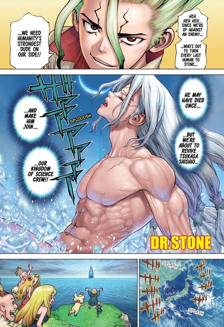 Dr. Stone (Official) - chapter 141 - #2