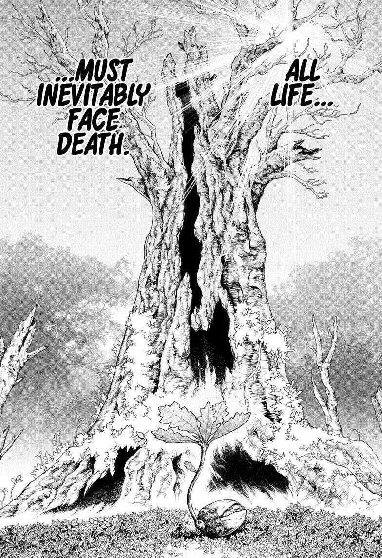 Dr. Stone (Official) - chapter 230 - #2