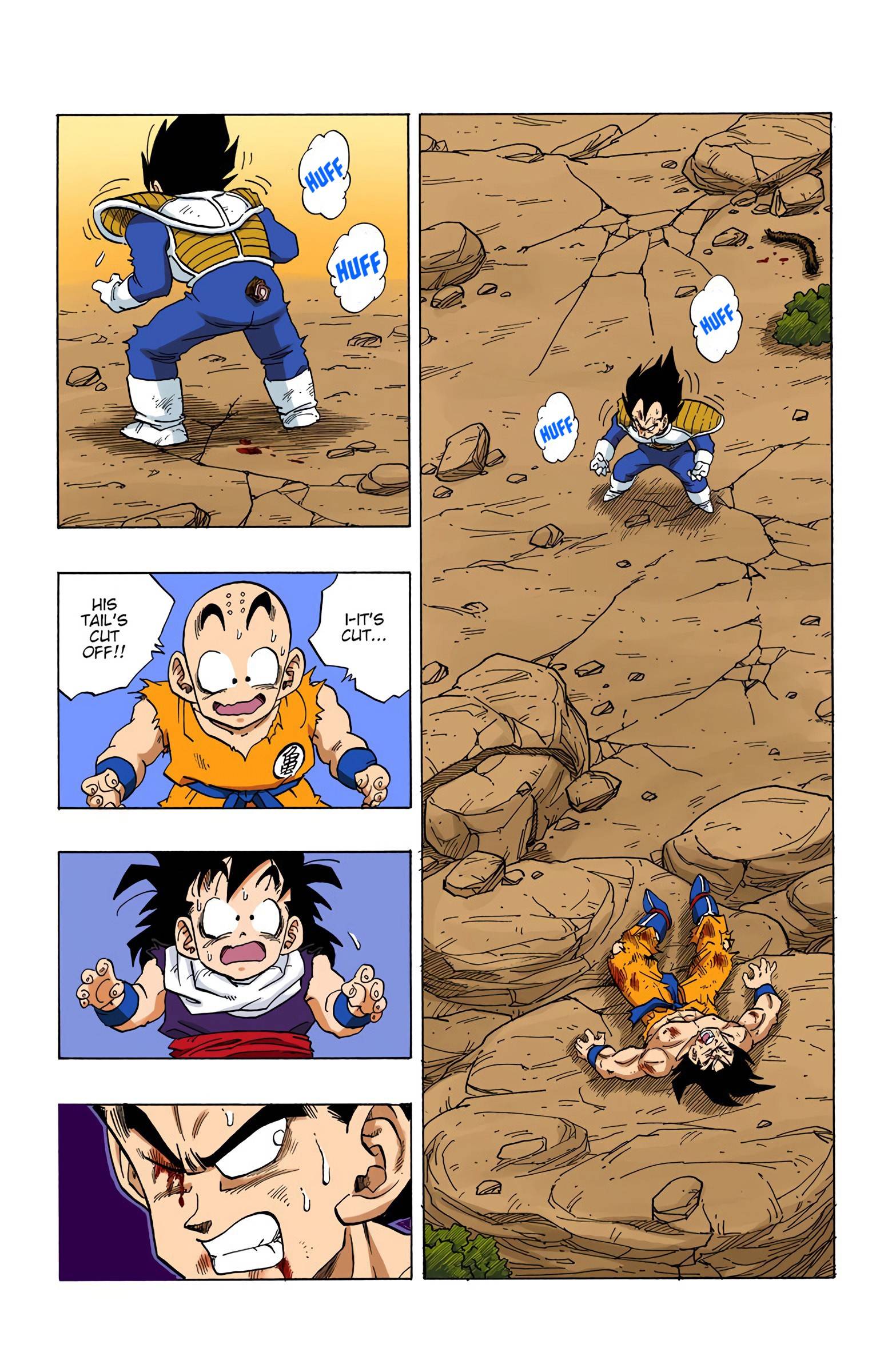 Dragon Ball - Full Color Edition - chapter 236 - #2