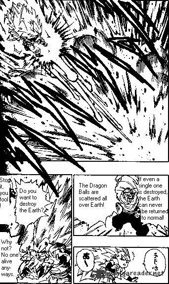 Dragon Ball - chapter 496 - #5