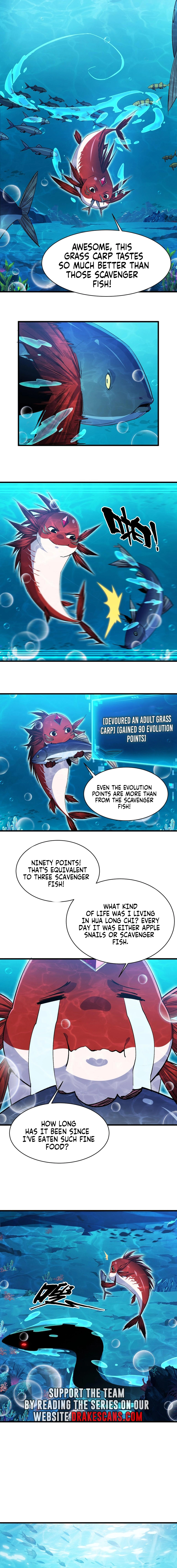 Evolution from Carp to Divine Dragon - chapter 8 - #6