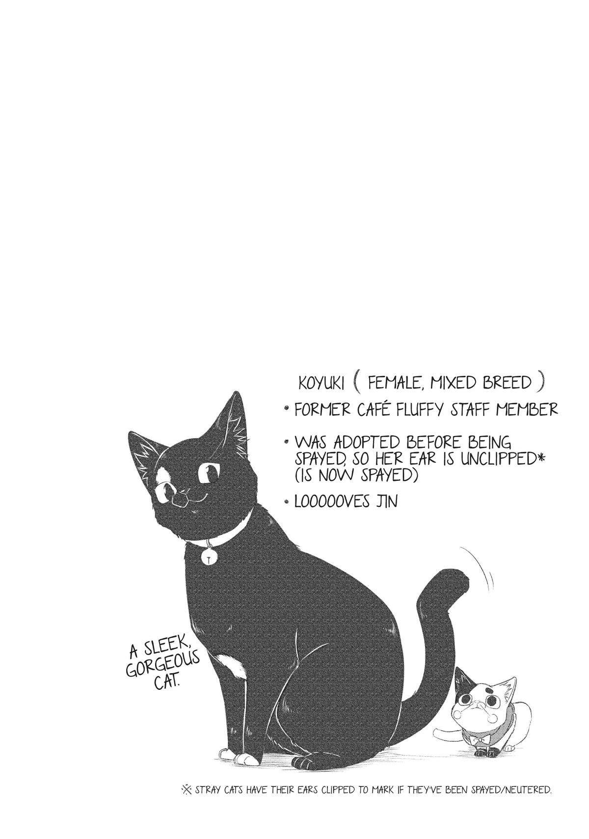 Ex-Yakuza & Stray Kitten - chapter 32 - #1