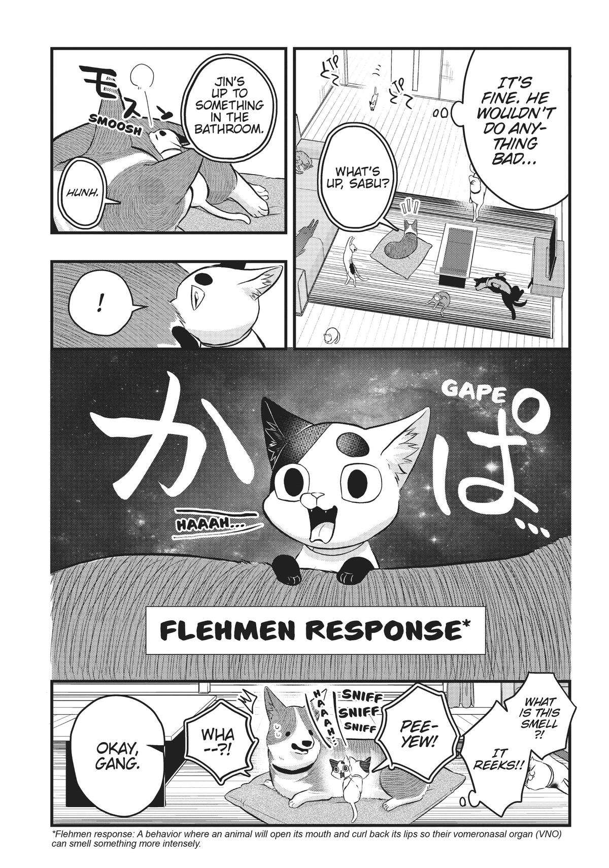 Ex-Yakuza & Stray Kitten - chapter 39 - #4
