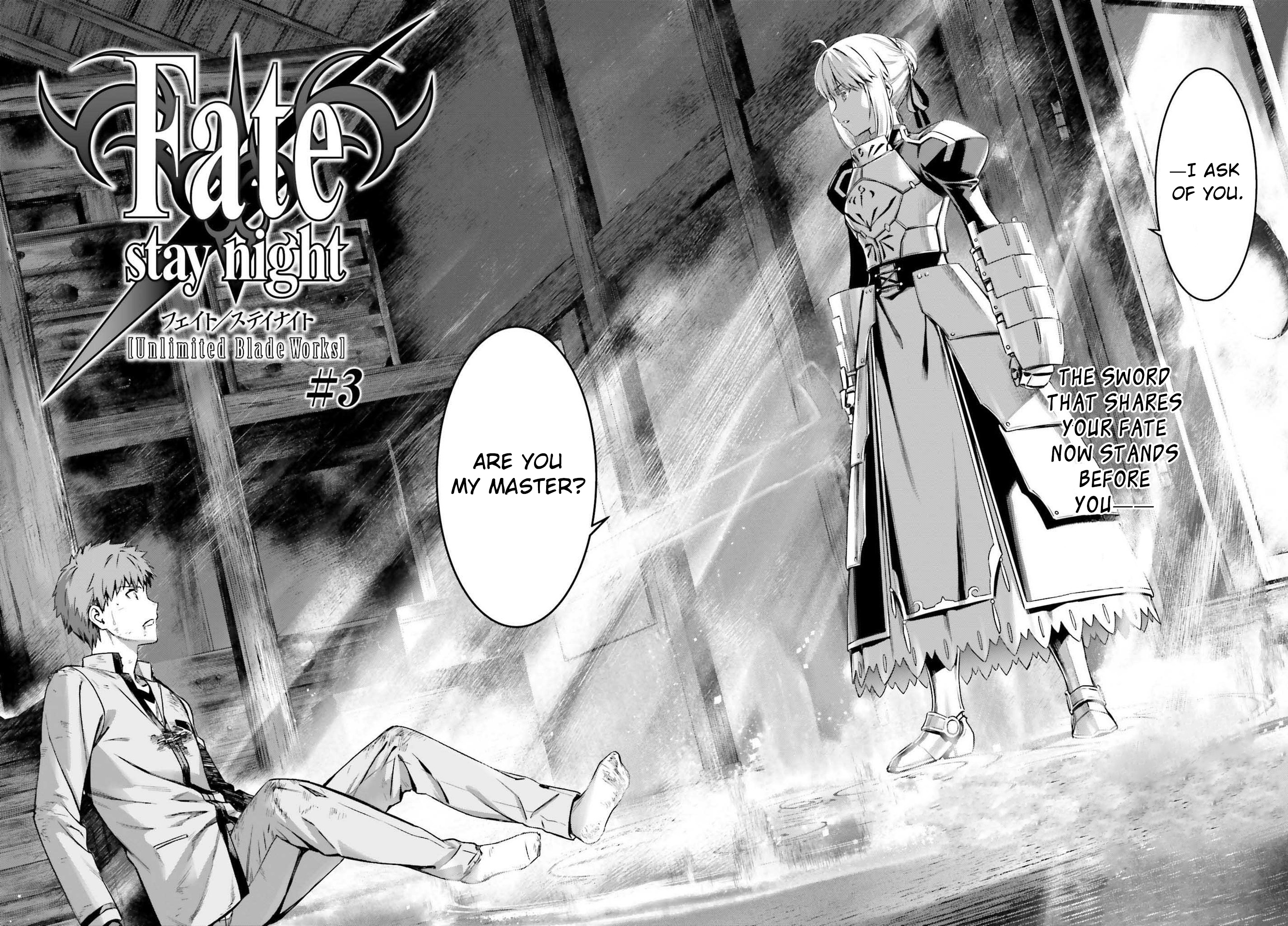 Fate/stay Night - Unlimited Blade Works - chapter 3.1 - #6