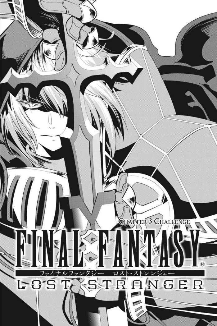 Final Fantasy: Lost Stranger - chapter 3 - #3
