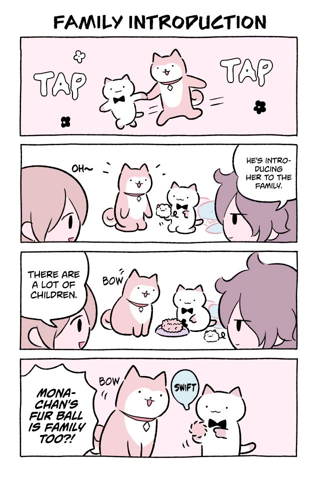 Wonder Cat Kyuu-Chan - chapter 476 - #1
