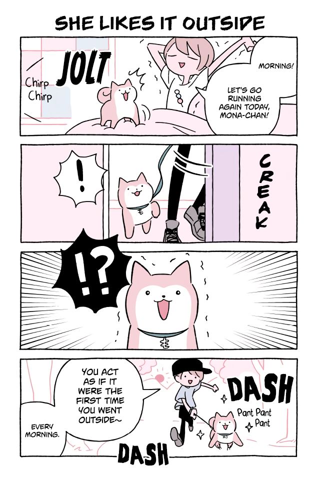 Wonder Cat Kyuu-Chan - chapter 618 - #1