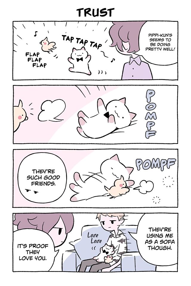 Wonder Cat Kyuu-Chan - chapter 687 - #1