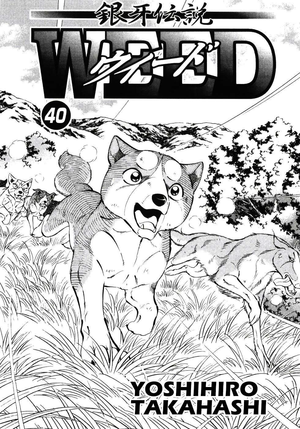 Ginga Densetsu Weed - chapter 332 - #4