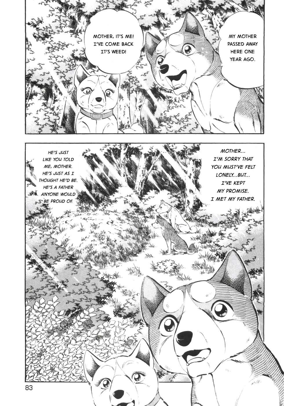 Ginga Densetsu Weed - chapter 335 - #3