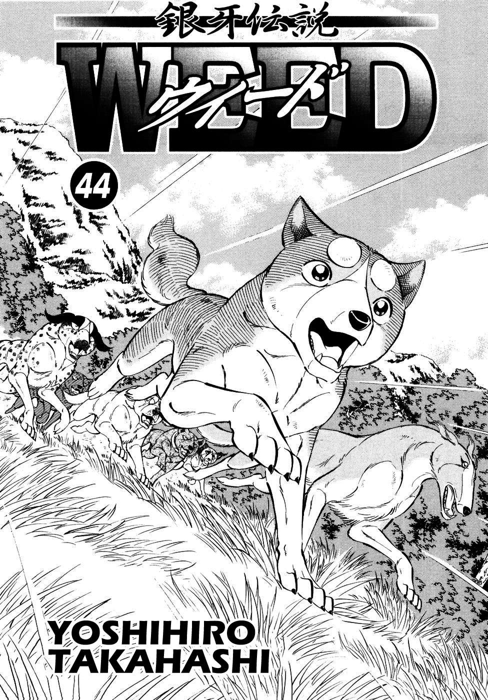 Ginga Densetsu Weed - chapter 364 - #4