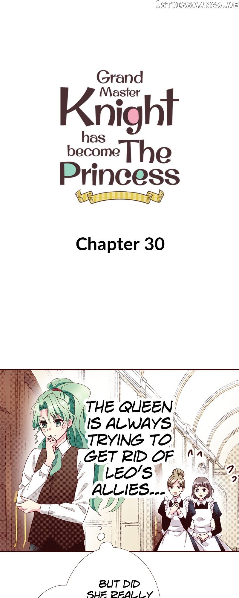 Grand Master Knight Has Become the Princess - chapter 30 - #1