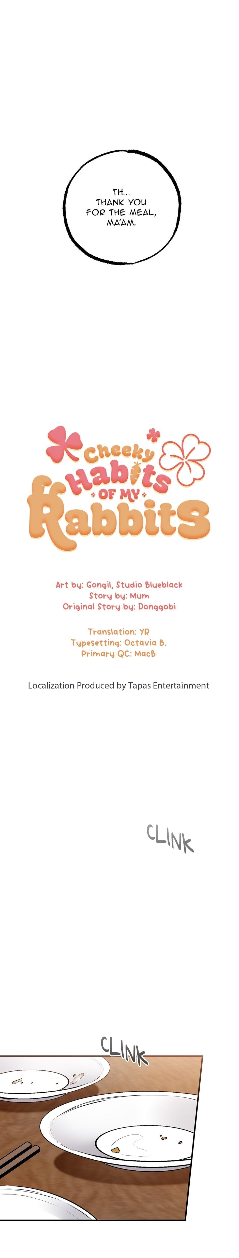 Habibi's Rabbits - chapter 40 - #5