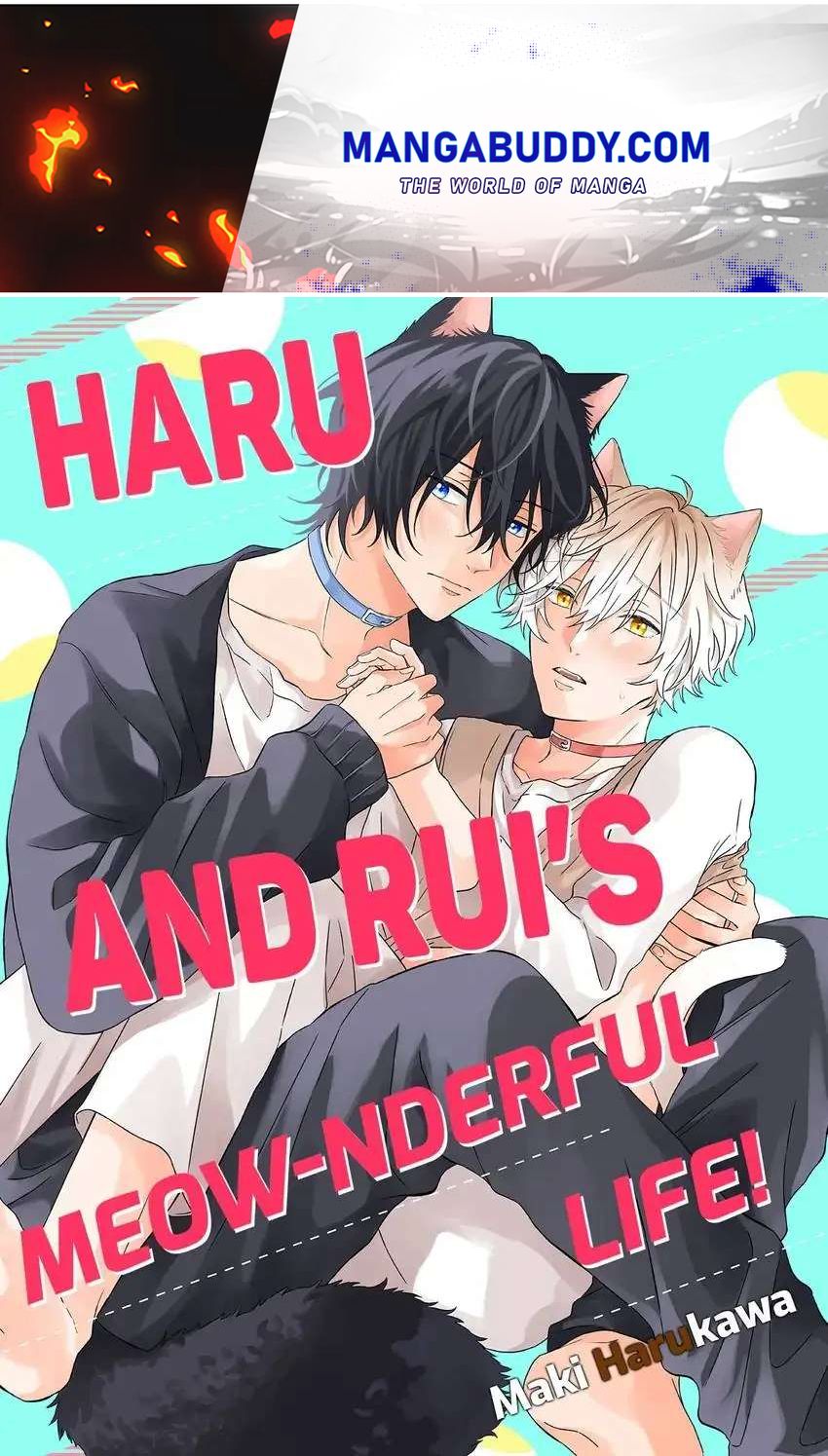 Haru To Rui No Nyanderful Love Life! - chapter 9 - #1