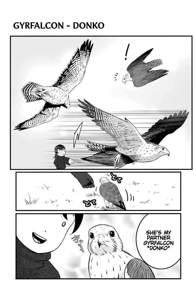 Hawk Master, It's Hunting Time! - chapter 4 - #2