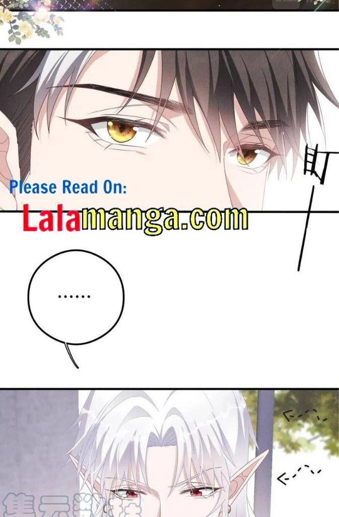 Hello, My Wolf - chapter 41 - #5