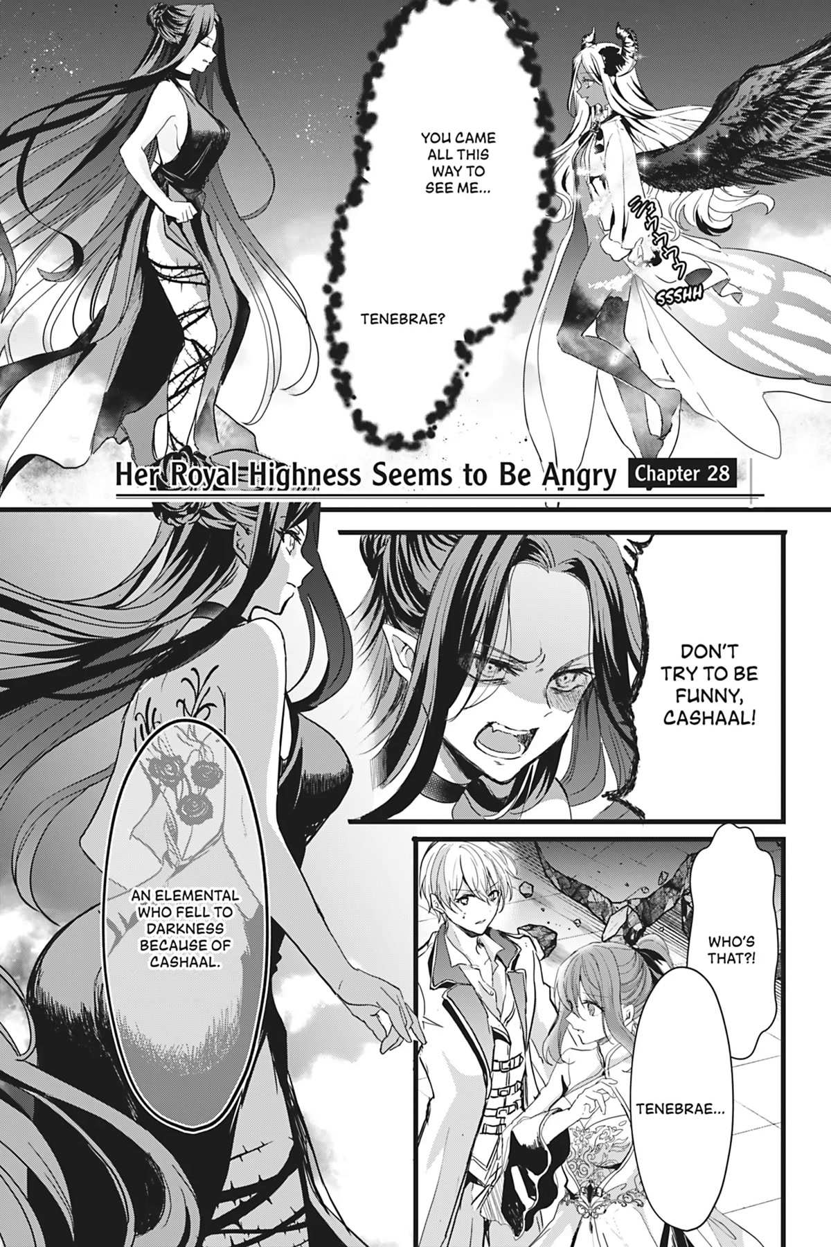 Her Royal Highness Seems To Be Angry - chapter 28 - #1
