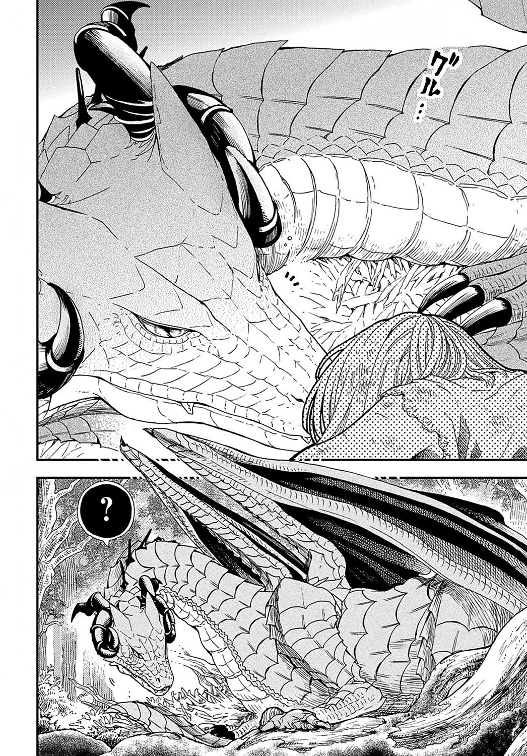 Hone Dragon No Mana Musume - chapter 1 - #6