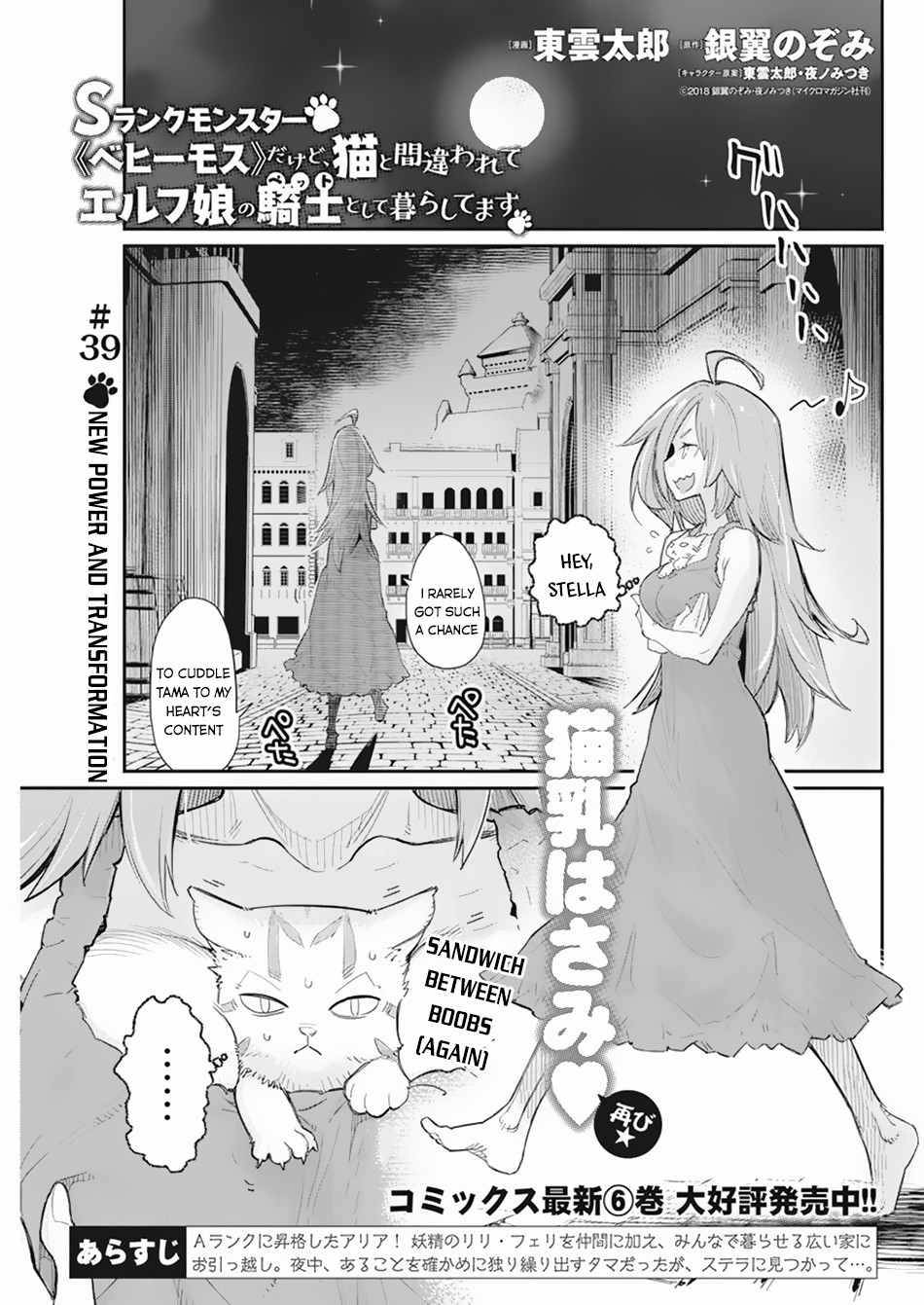I Am Behemoth Of The S Rank Monster But I Am Mistaken As A Cat And I Live As A Pet Of Elf Girl - chapter 39 - #2