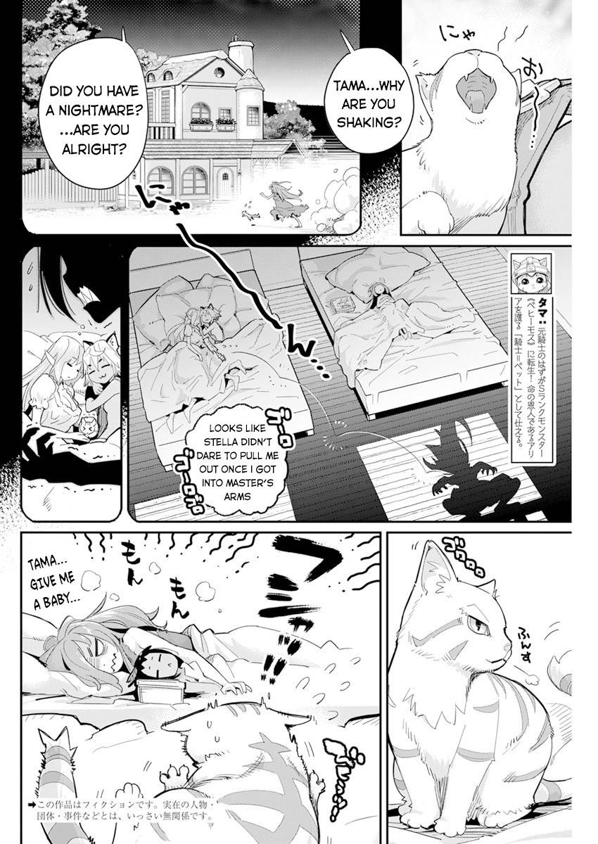 I Am Behemoth Of The S Rank Monster But I Am Mistaken As A Cat And I Live As A Pet Of Elf Girl - chapter 40 - #3