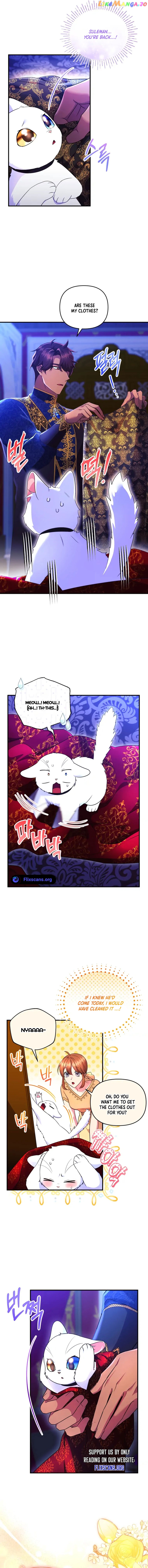 I Became The Sultan’S Precious Cat - chapter 26 - #3