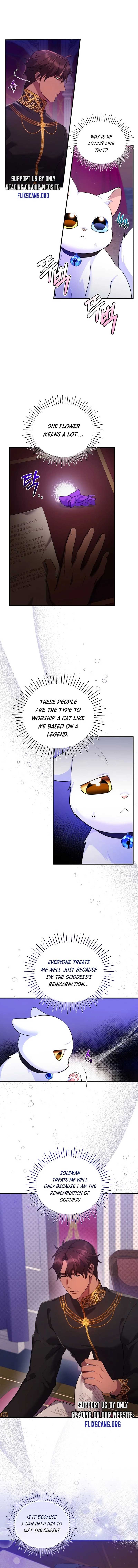 I Became The Sultan’S Precious Cat - chapter 9 - #1