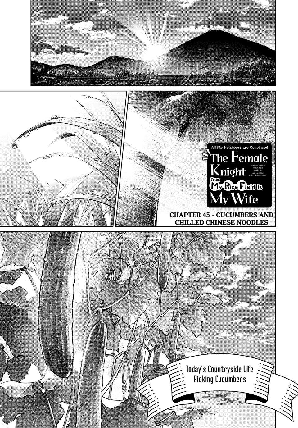 I Found a Female Knight in a Rice Field, in the Countryside They Think She’s My Wife - chapter 45 - #1
