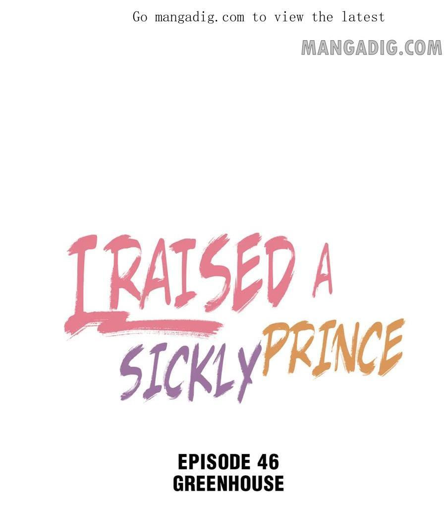 I Raised A Sick And Weak Prince - chapter 46 - #2