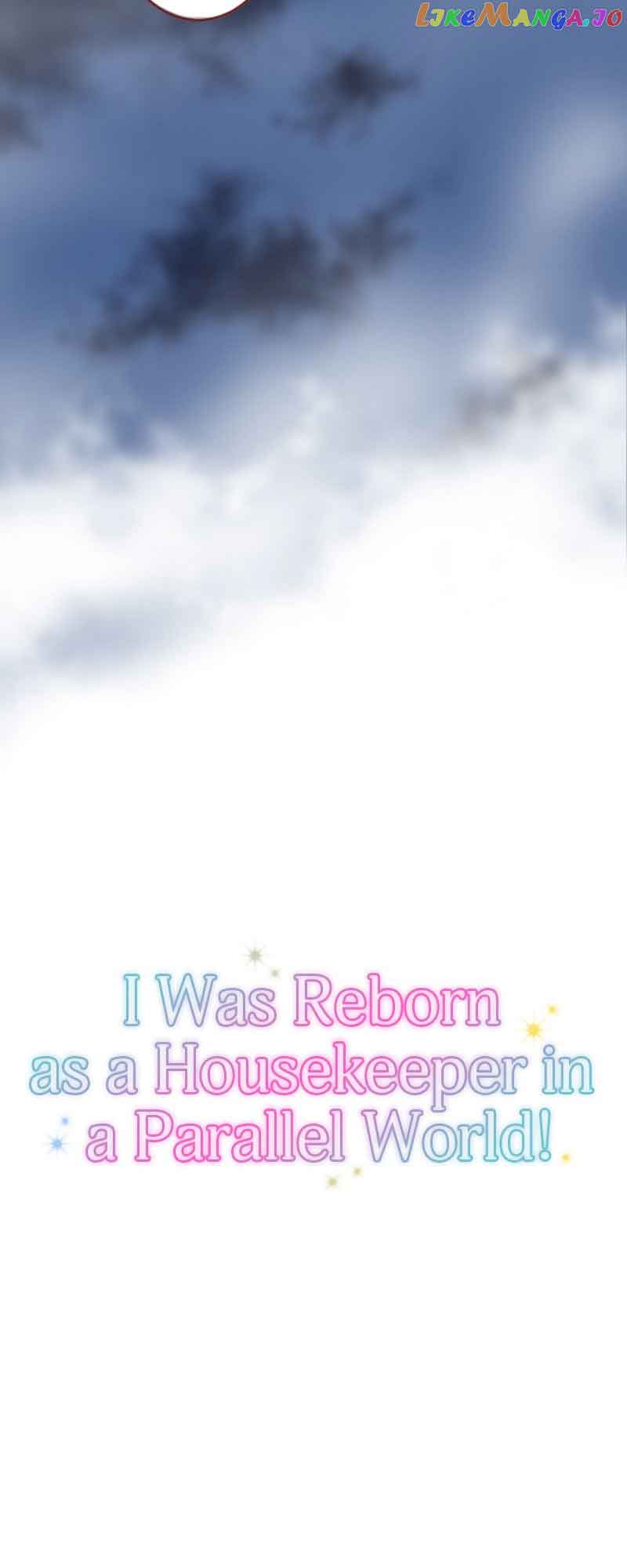 I was Reborn as a Housekeeper in a Parallel World! - chapter 132 - #5