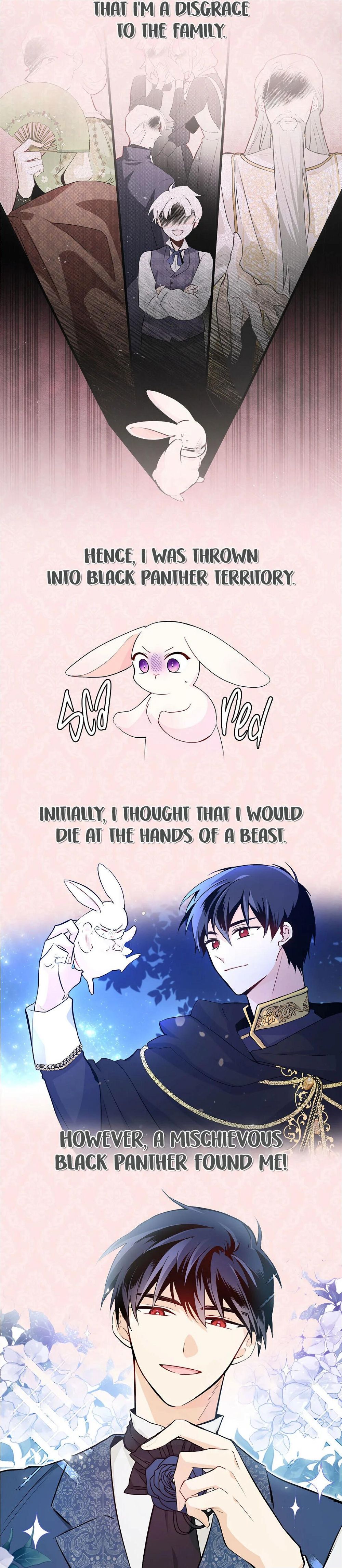 Little Rabbit and the Big Bad Leopard - chapter 44.5 - #3