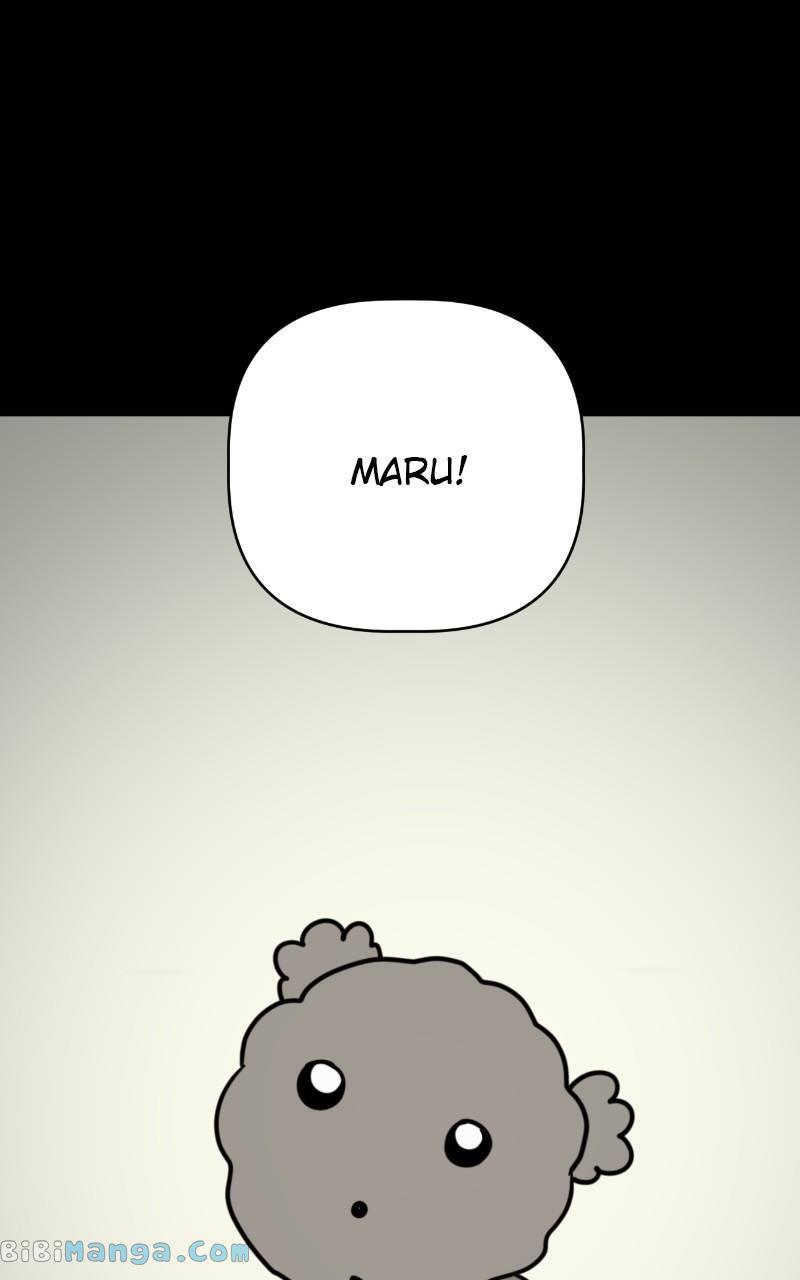 Maru is a Puppy - chapter 14 - #2