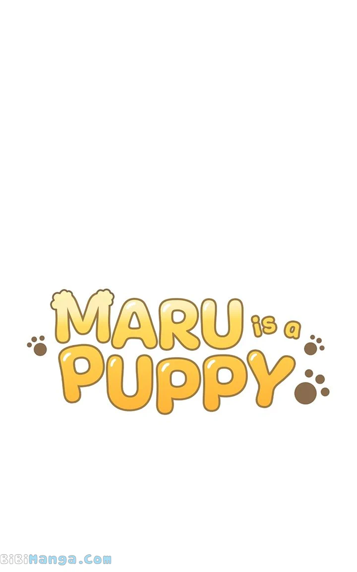 Maru is a Puppy - chapter 27 - #5