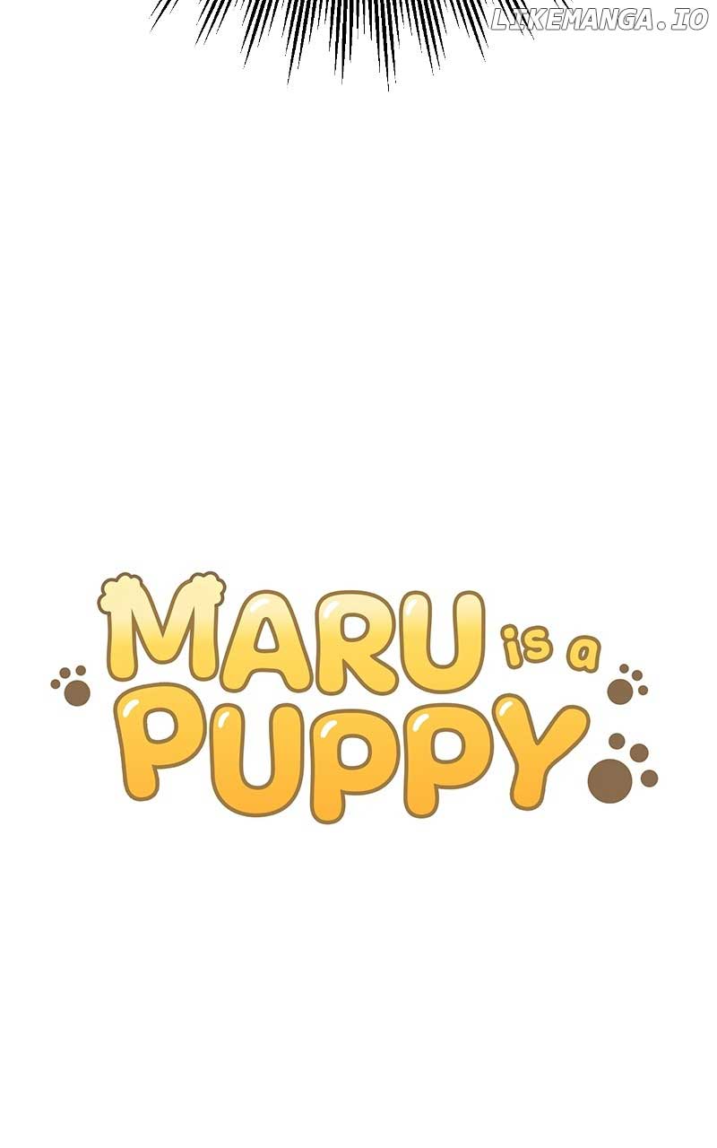 Maru is a Puppy - chapter 31 - #5
