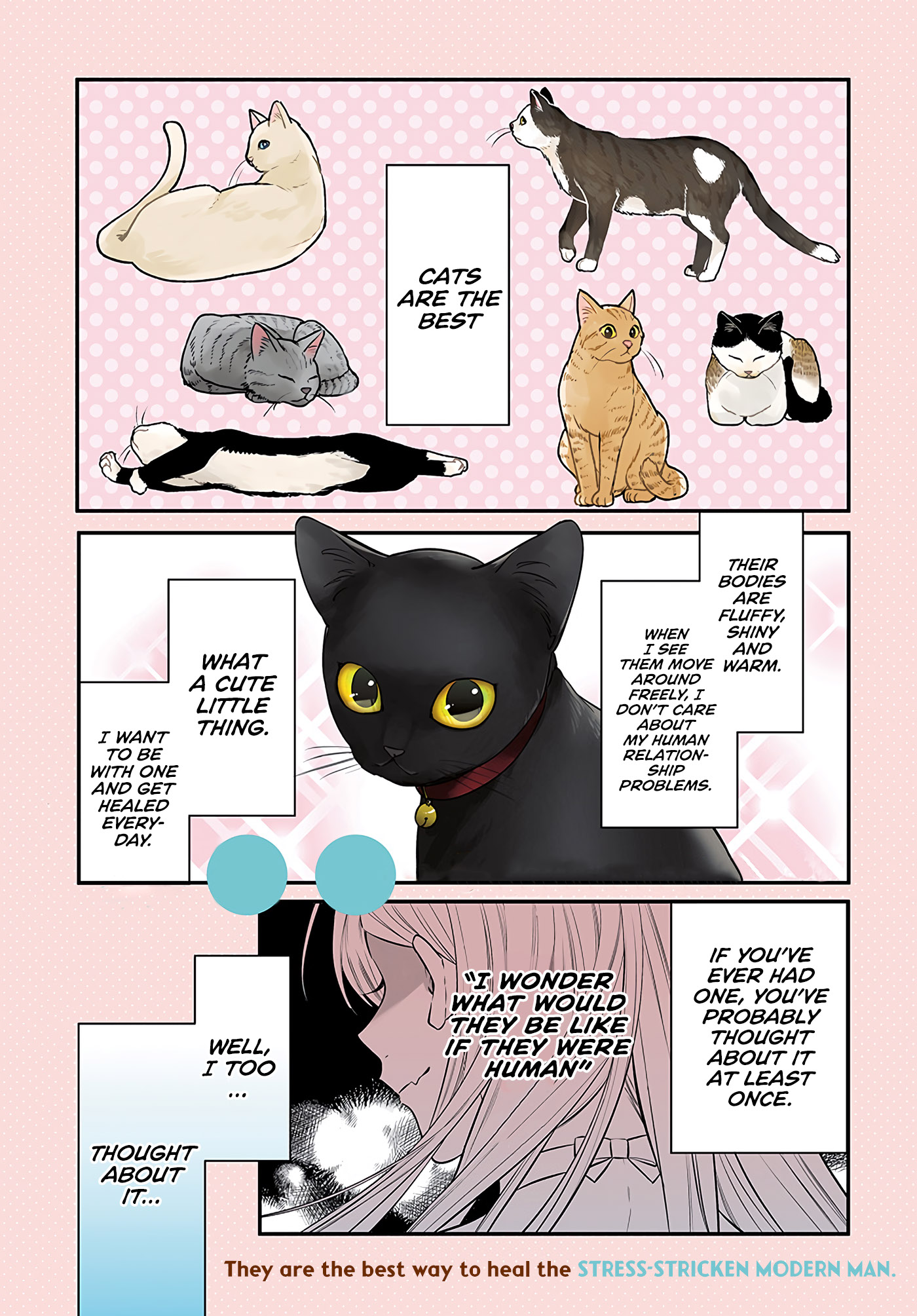 Mi-Chan wants to be kept - chapter 1 - #1