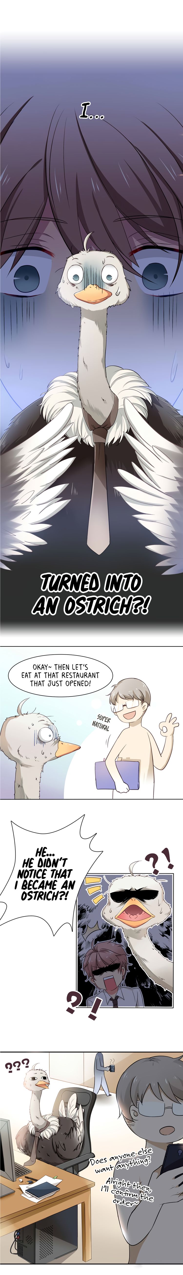 Mr. Ostrich - chapter 1 - #5
