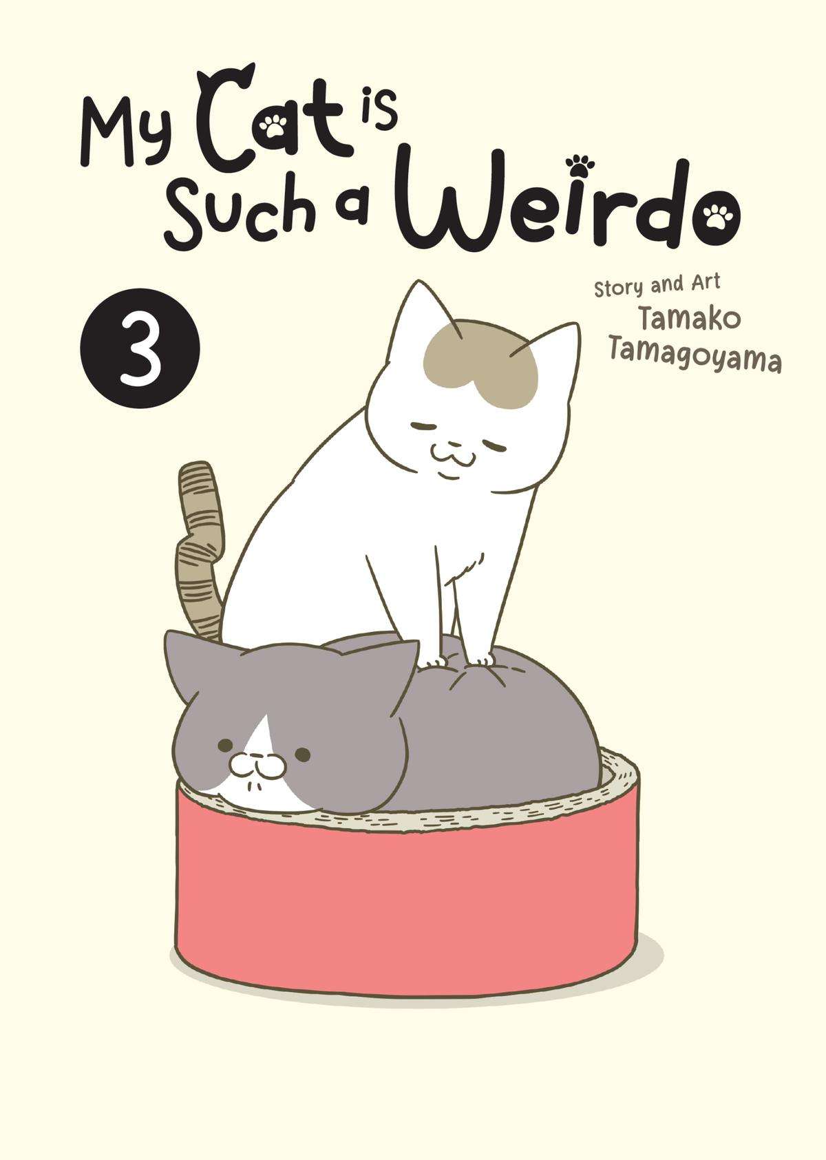 My Cat is Such a Weirdo - chapter 3 - #1