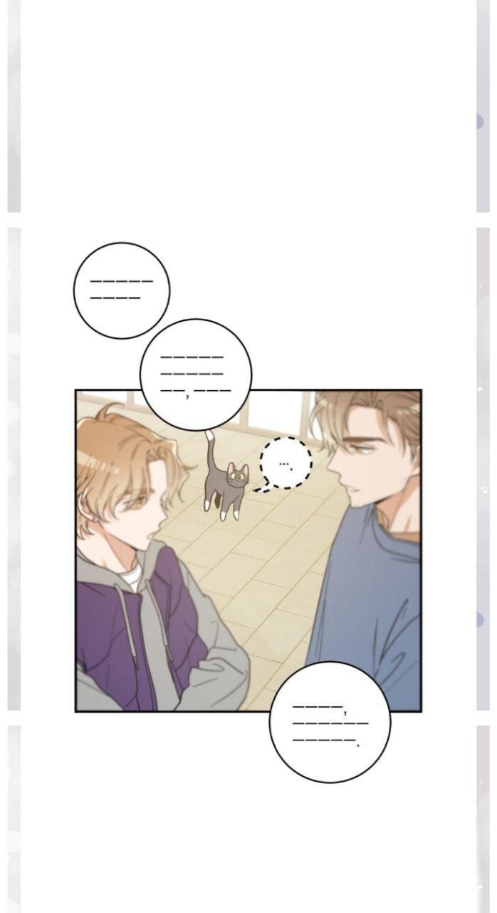 My One And Only Cat - chapter 28 - #4