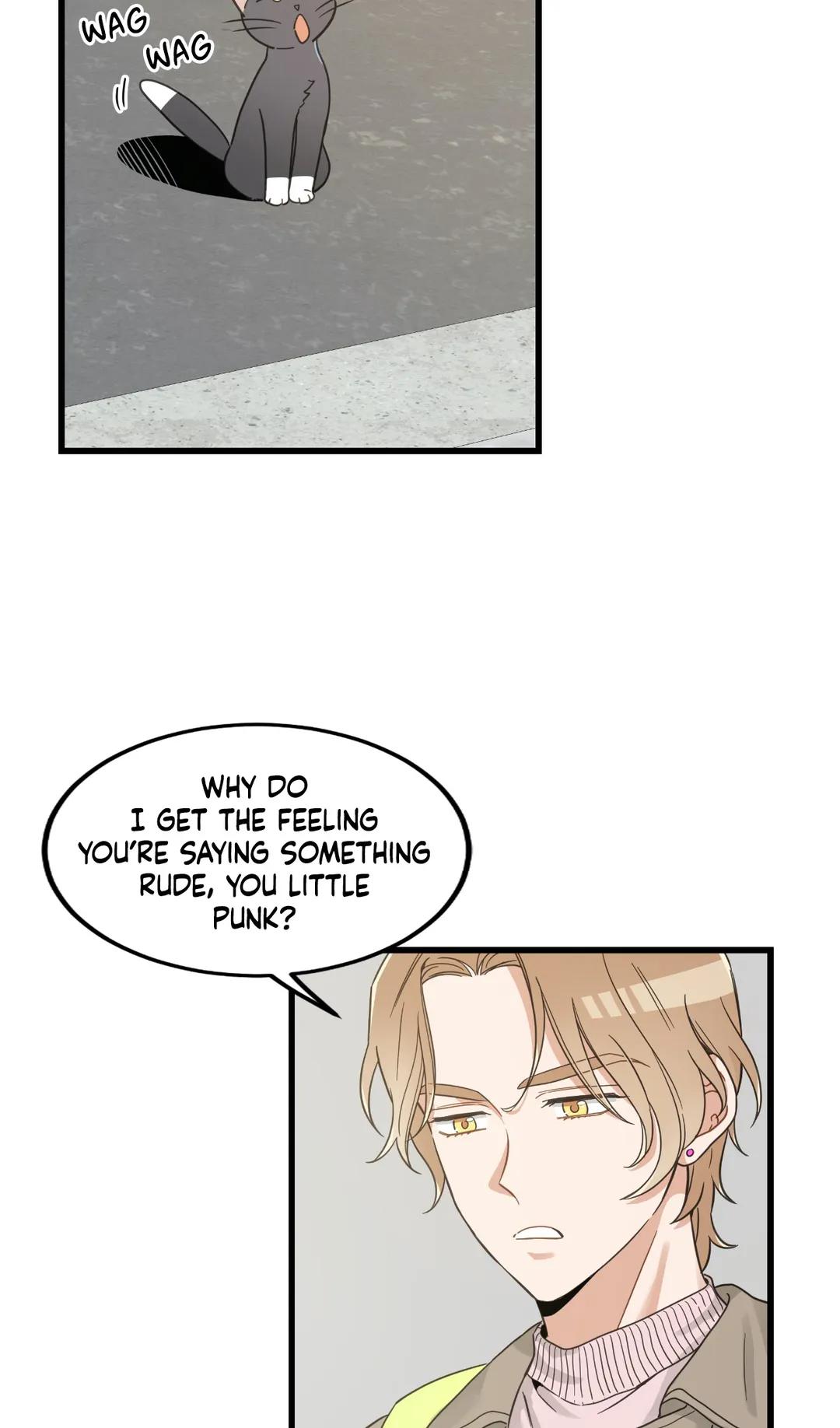 My One And Only Cat - chapter 42 - #5
