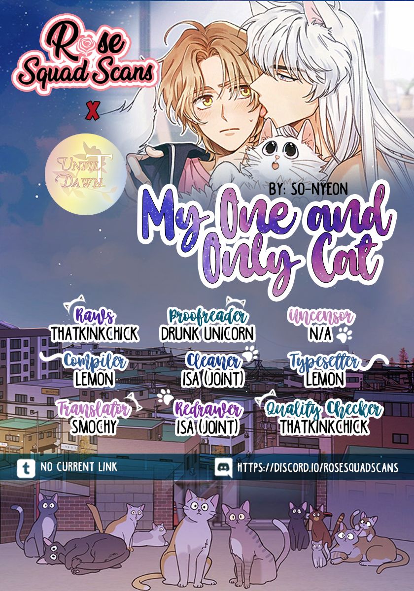 My One And Only Cat - chapter 9 - #1