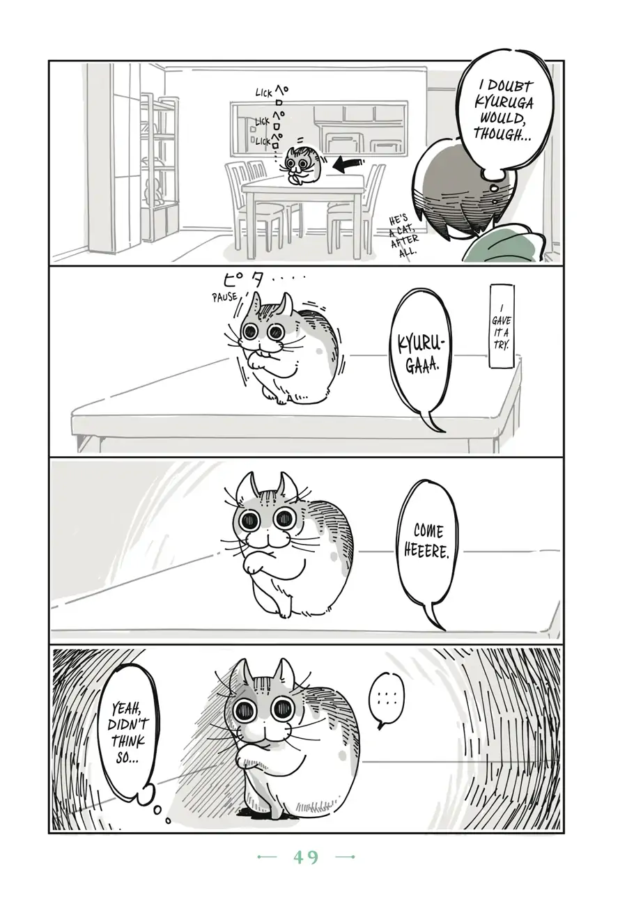 Nights with a Cat - chapter 12 - #2