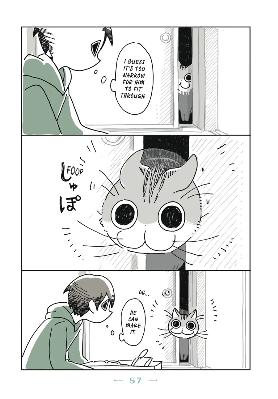 Nights with a Cat - chapter 14 - #2