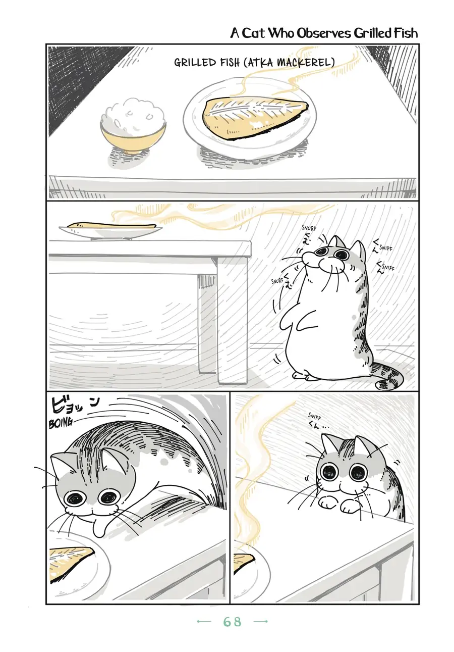 Nights with a Cat - chapter 17 - #1