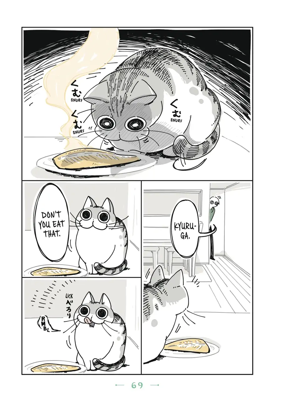 Nights with a Cat - chapter 17 - #2