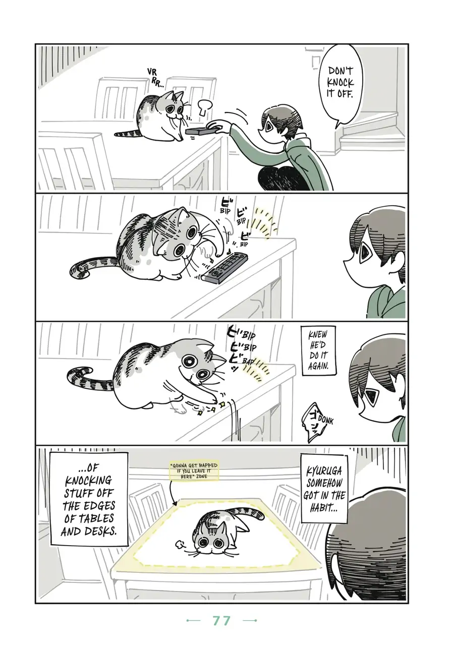 Nights with a Cat - chapter 19 - #2