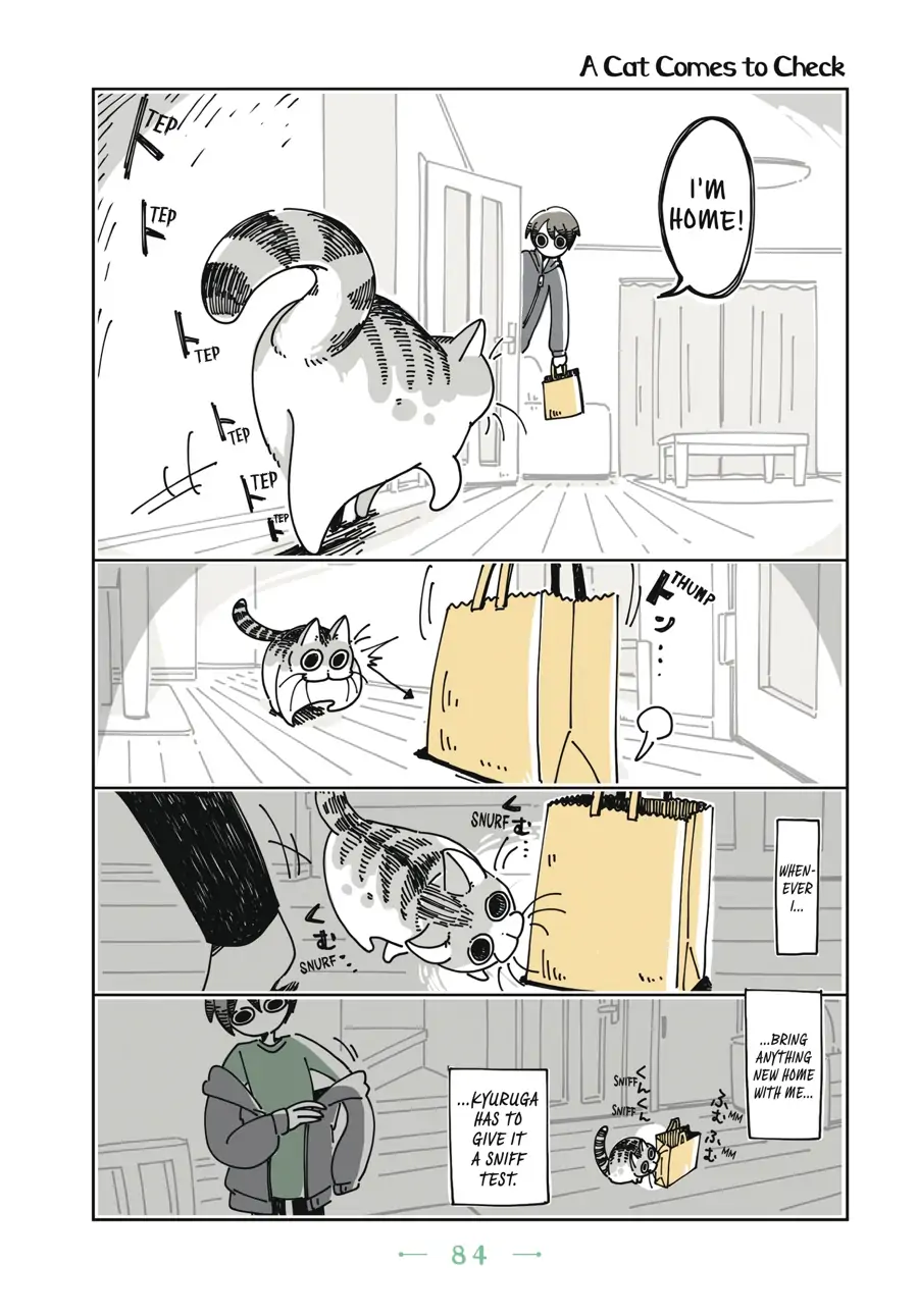 Nights with a Cat - chapter 21 - #1