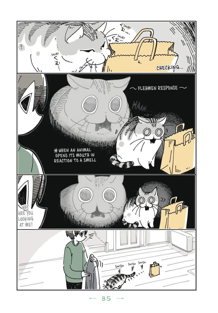 Nights with a Cat - chapter 21 - #2