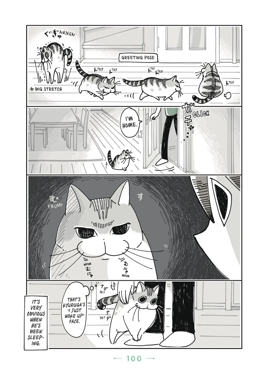 Nights with a Cat - chapter 25 - #2